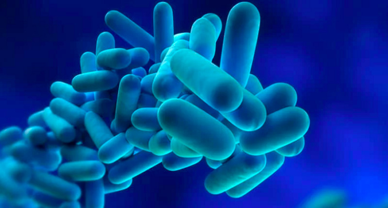 Nueva normativa prevencion Legionella